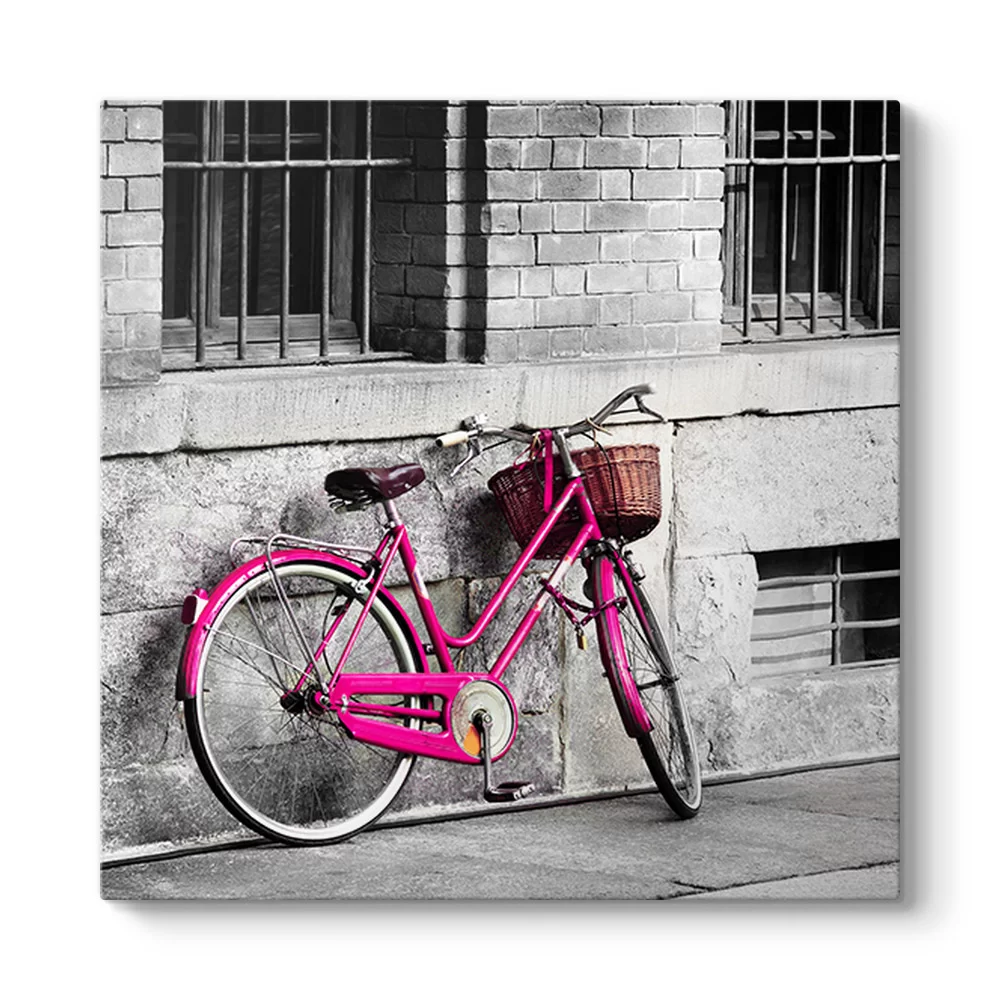 Eski Pembe Bisiklet - Model 3